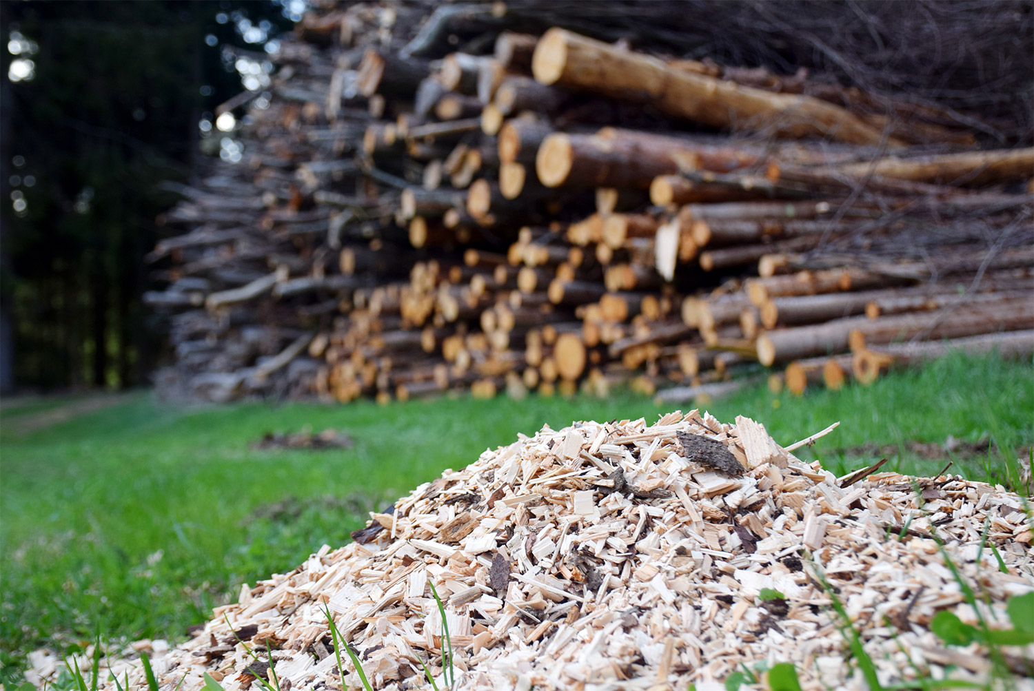 Frische Hackschnitzel, Feinhackgut