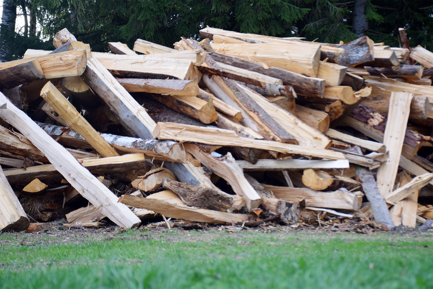 Frisch gespaltene Baumstämme vor dem Schlichten